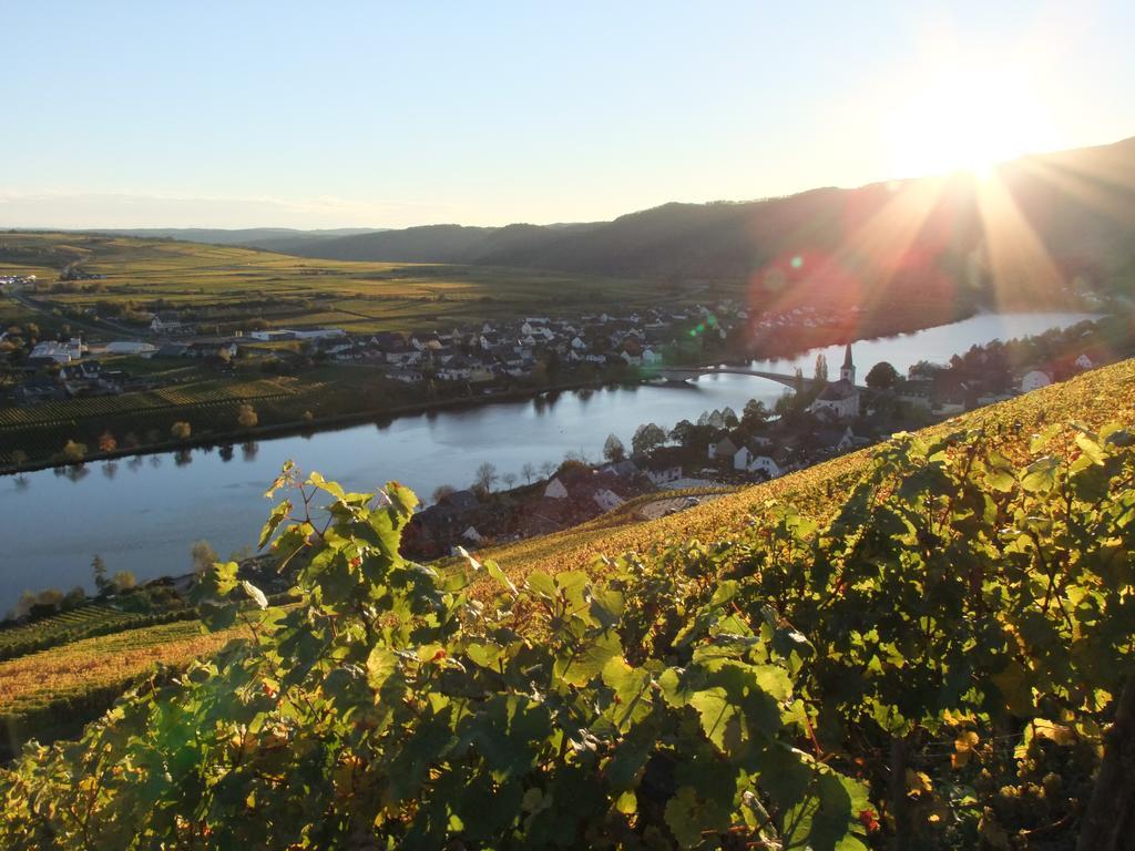 Weingut Lehnert-Veit Gutshotel Piesport Exterior foto