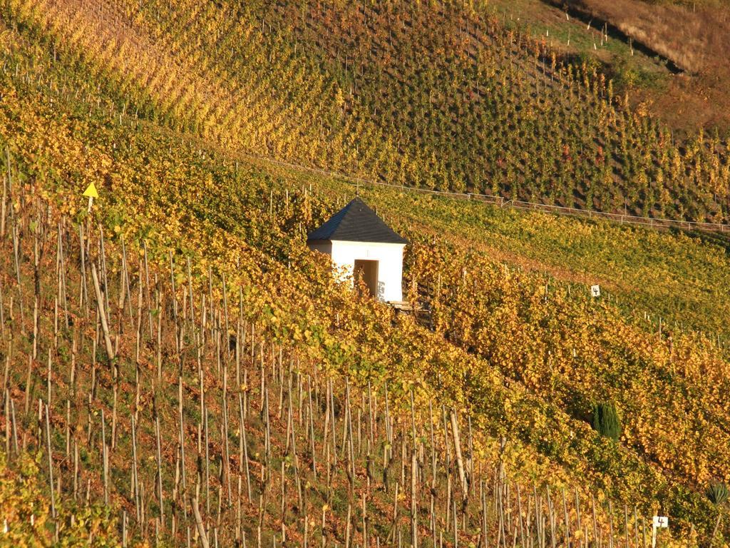 Weingut Lehnert-Veit Gutshotel Piesport Exterior foto