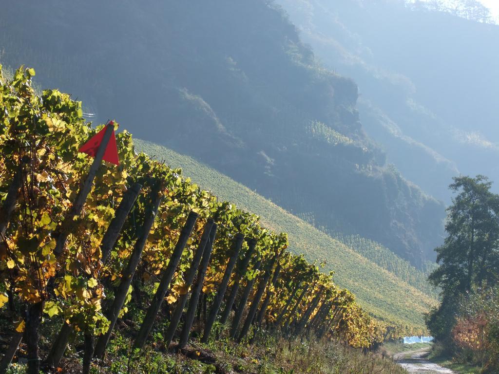 Weingut Lehnert-Veit Gutshotel Piesport Exterior foto