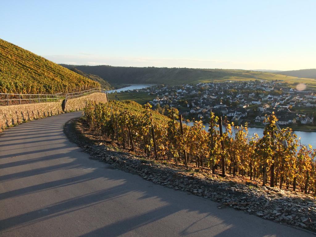 Weingut Lehnert-Veit Gutshotel Piesport Exterior foto