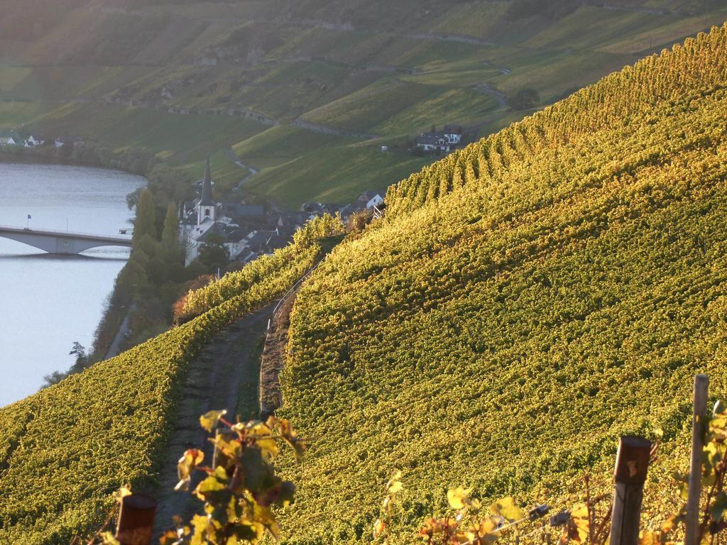 Weingut Lehnert-Veit Gutshotel Piesport Exterior foto