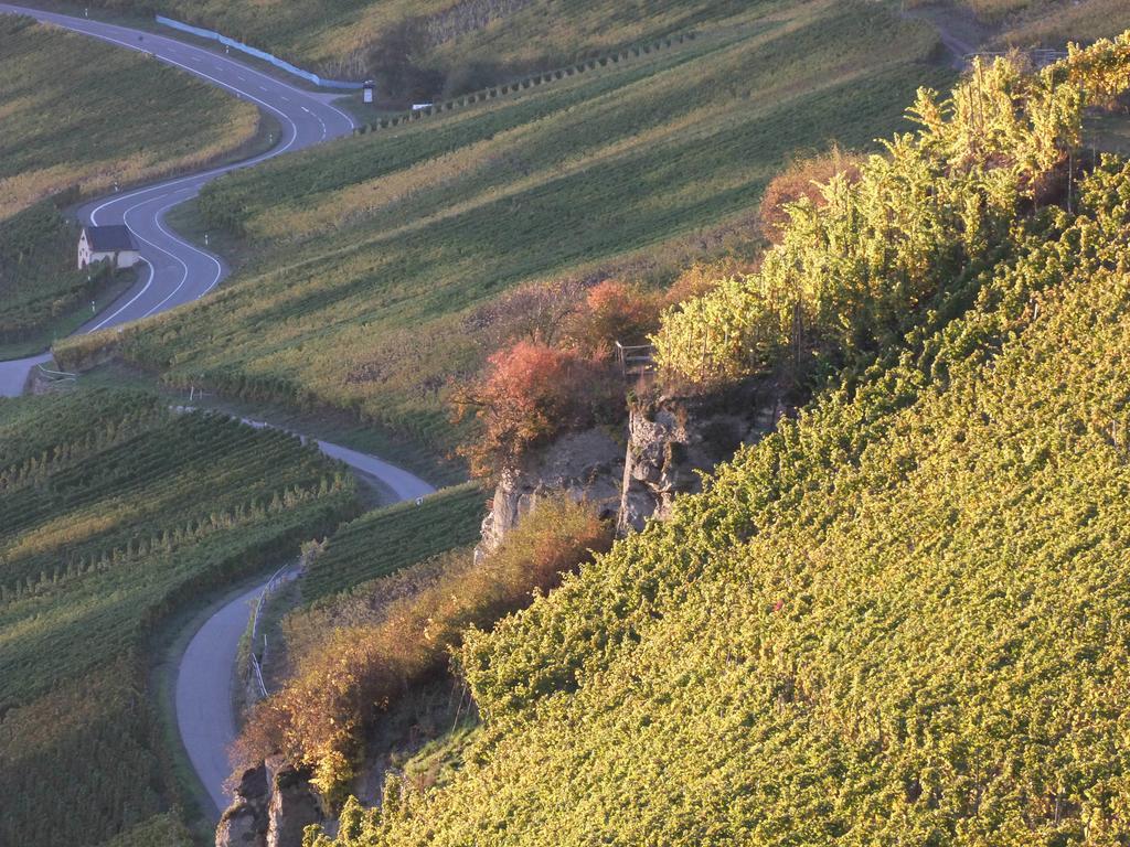 Weingut Lehnert-Veit Gutshotel Piesport Exterior foto