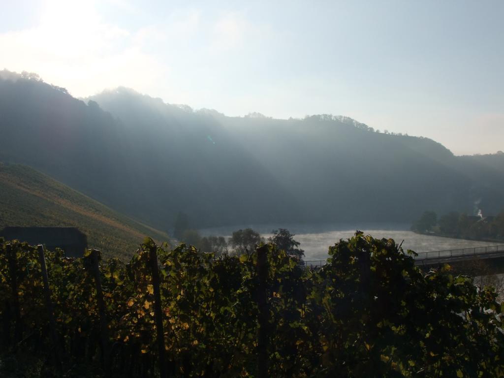 Weingut Lehnert-Veit Gutshotel Piesport Exterior foto
